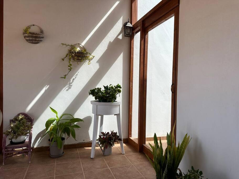Private Villa With Pool In The Mountains Pajara  ภายนอก รูปภาพ